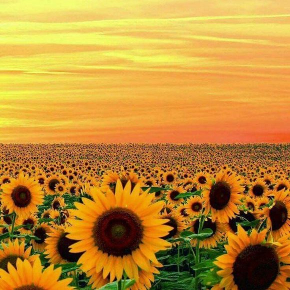 HI I'm Jill! - Picture 1 of 1